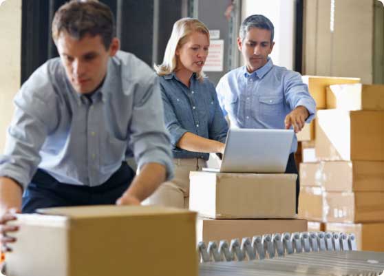 A group of people working with their stock